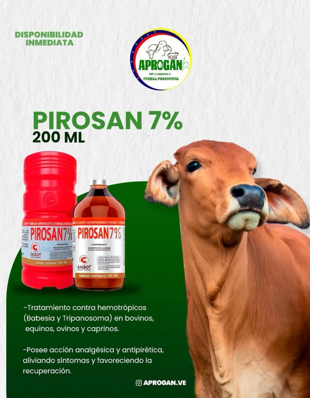 PIROSAN X 100 ML