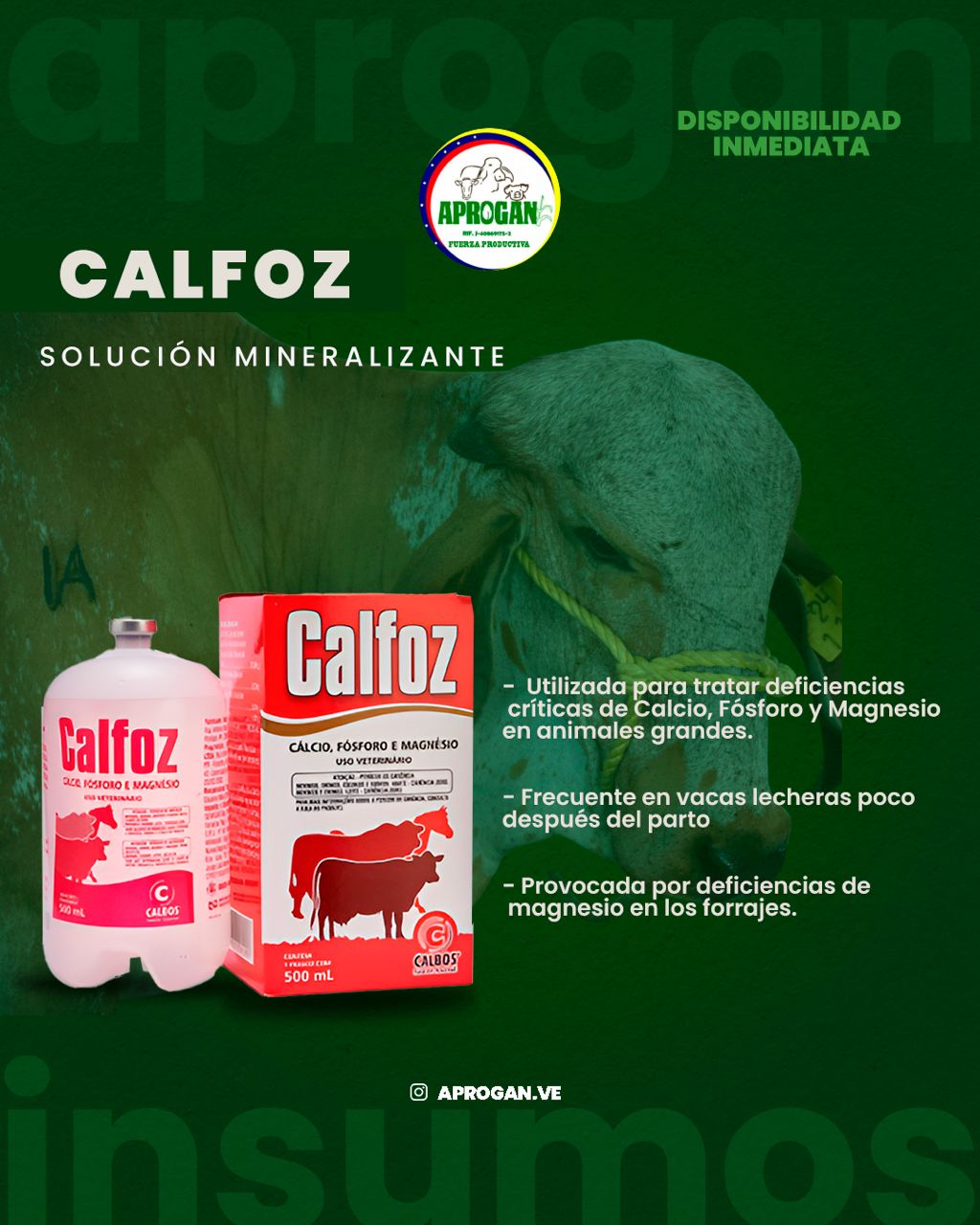 CALFOZ X 500 ML CON EQUIPO