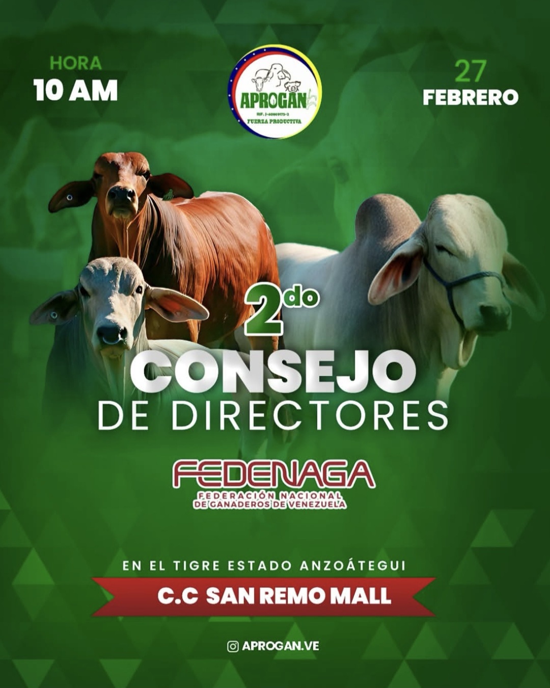 2do Consejo de Directores de FEDEDENAGA