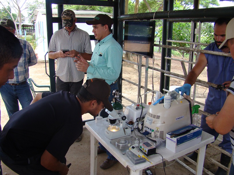 Capacitación e innovación productiva