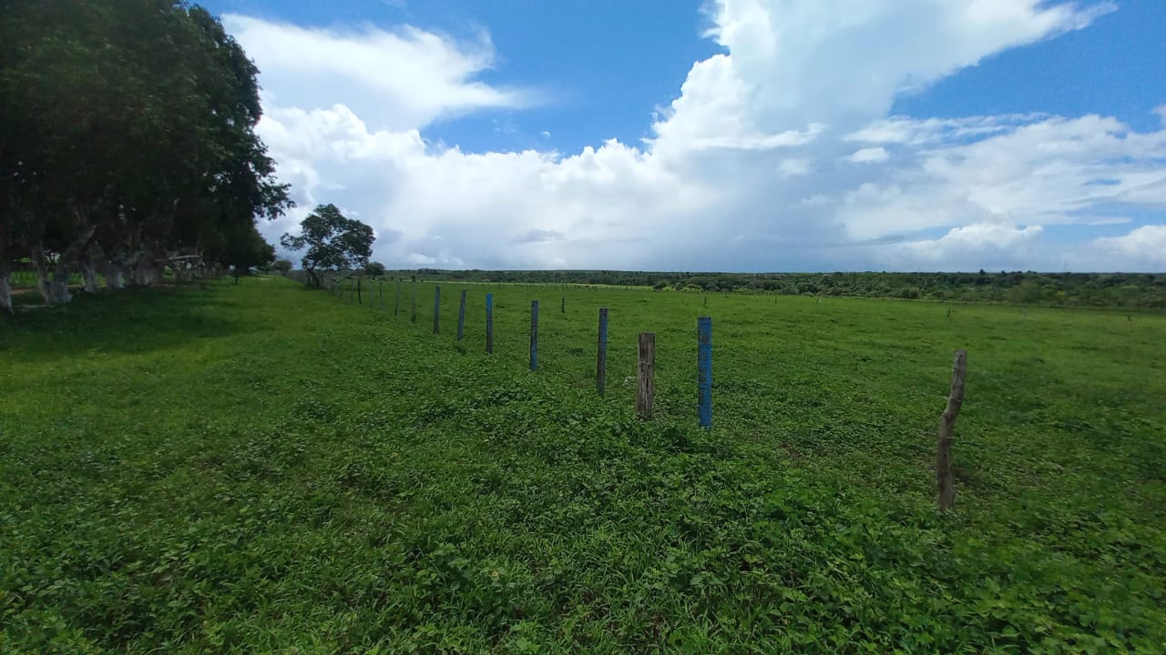 AGROPECUARIA DOÑA MAURA